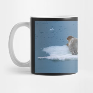 Arctic Seal Hitching a Lift Around Svalbard Mug